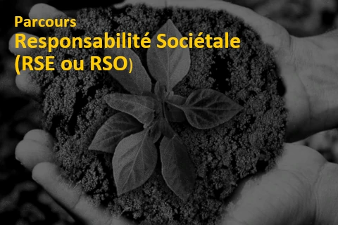 Parcours RSE Responsabilité Sociétale de l'Entreprise