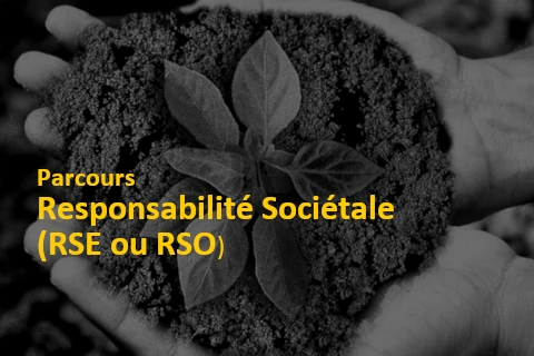 Déployez votre démarche de responsabilité sociétale d'entreprise (RSE)